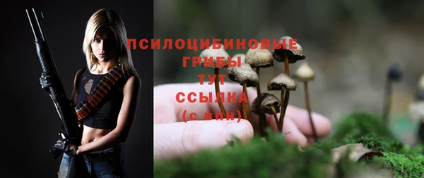 прущая мука Няндома