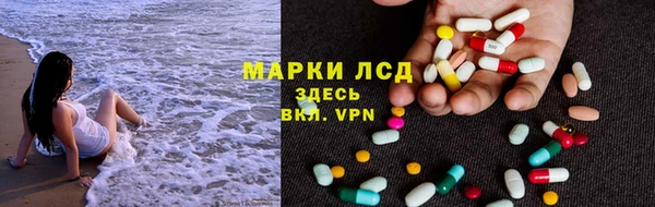 PSILOCYBIN Гвардейск