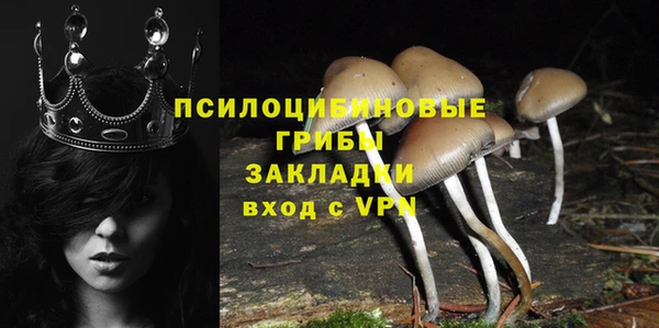 бошки Нязепетровск