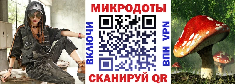Псилоцибиновые грибы мицелий  Новосиль 